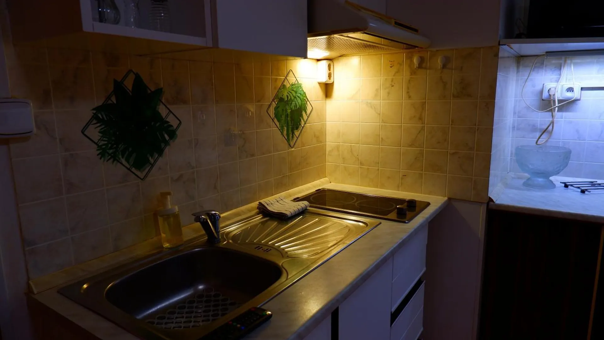 Apartment Apartmany Turgenevova - Olomoucka A Parkovani Brno
