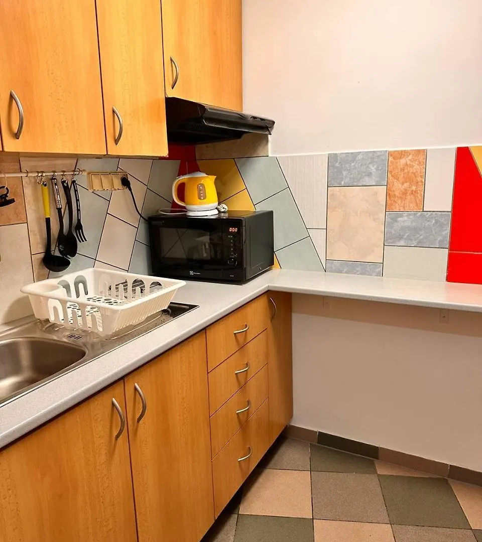 Apartmany Turgenevova - Olomoucka A Parkovani Brno Apartment